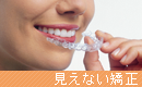 �C���r�U���C��/�ڗ����Ȃ�����